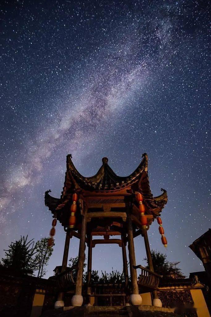 救援袋鼬