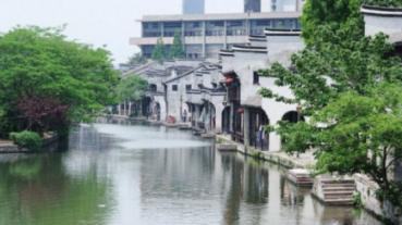 逃离金色的沙漠